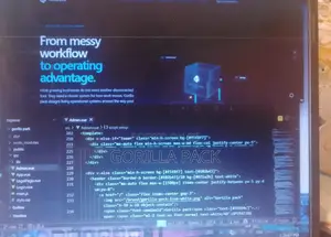 Website Development