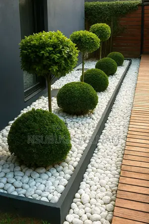 Compound Design
