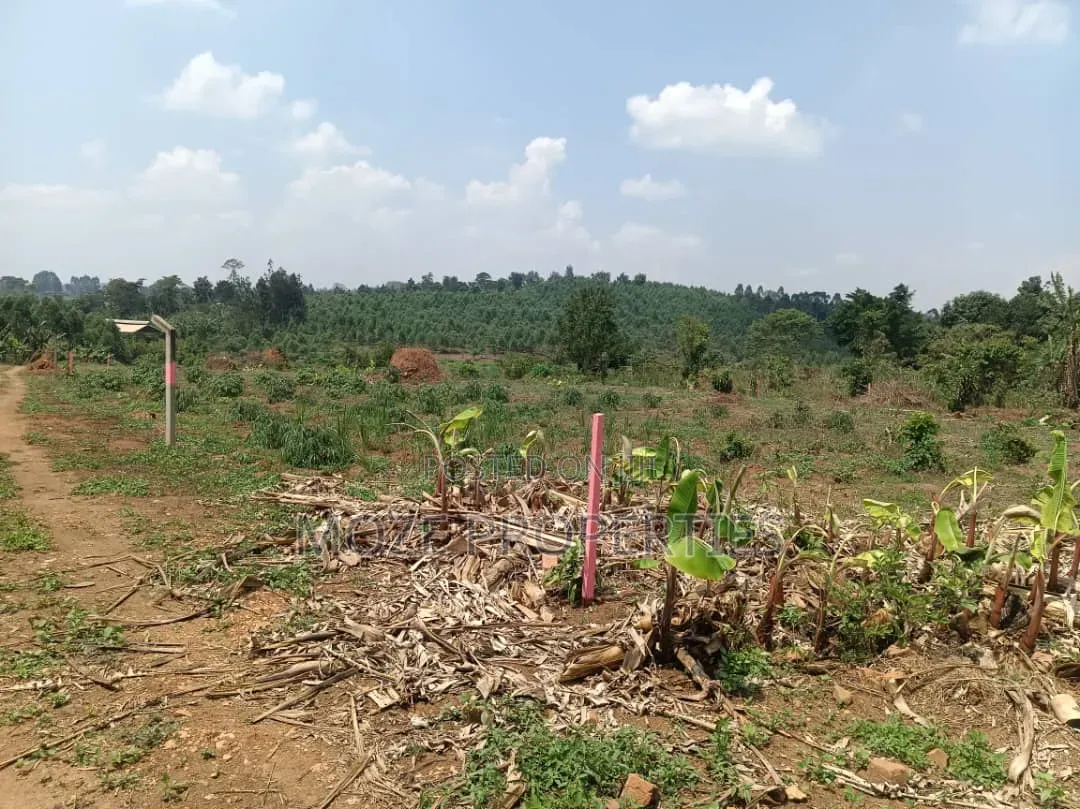 Namugongo Bukerere 50x100 Plots for Sale.