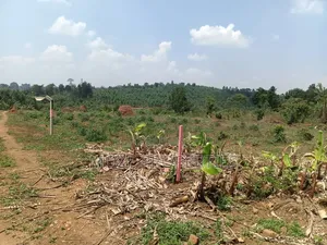 Namugongo Bukerere 50x100 Plots for Sale.