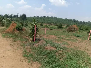Namugongo Bukerere 50x100 Plots for Sale.