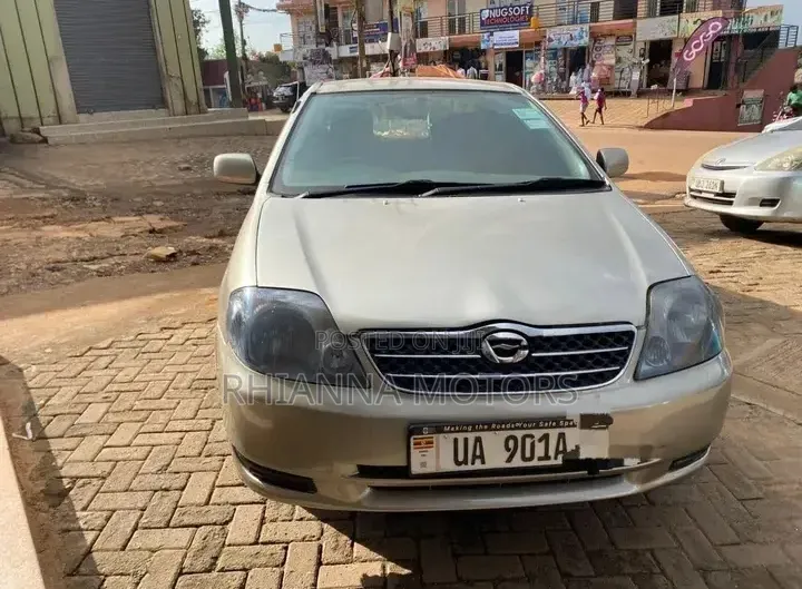 Toyota Corolla 2004 Gold