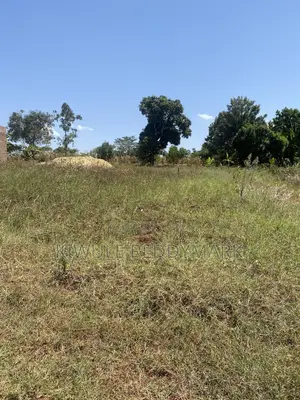 Plot of Land With Ground Water Source and Electricity Available