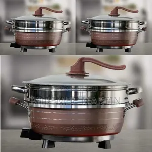 Versatile Electric Multi-Cooker and Steamer Set