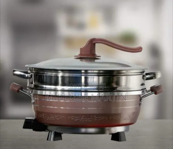 Versatile Electric Multi-Cooker and Steamer Set