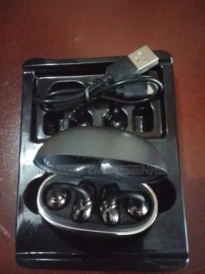 Goldplus Earphones GP-04