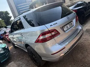 Mercedes-Benz M Class 2014 Silver