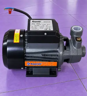 550W Electric Surface Water Pump 50m Head 3,000l/H 220V
