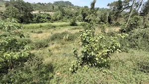Two Titled Plots of Land for Sale in Galamba Semuto Road