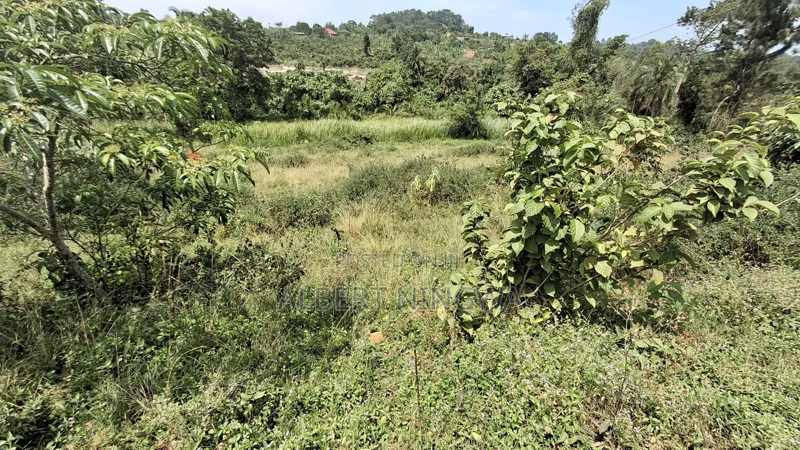 Two Titled Plots of Land for Sale in Galamba Semuto Road