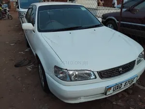 Toyota Corolla 2000  White 