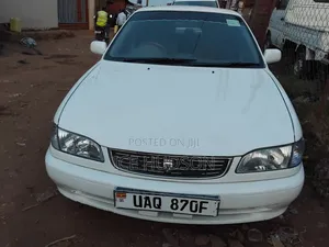 Toyota Corolla 2000  White 