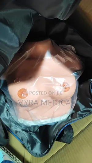 Breast Models, Brain Model
