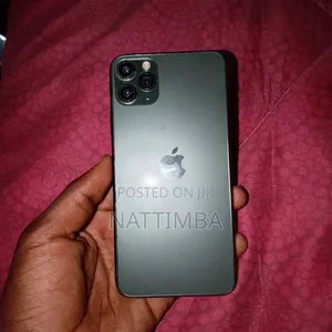 Apple iPhone 11 Pro Max 256 GB Green