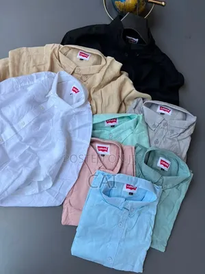 Levis Linen Shirts