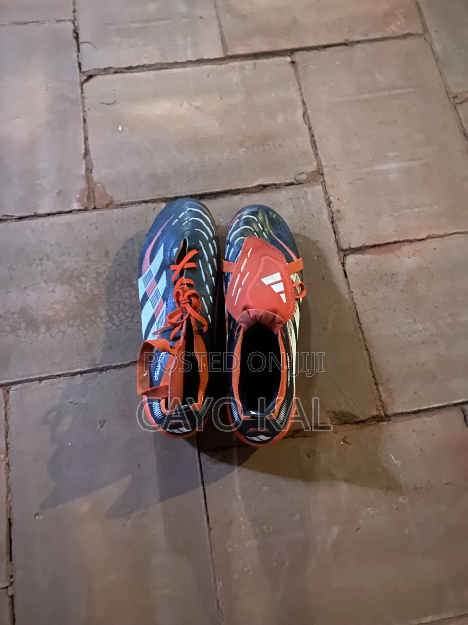 Adidas Predator