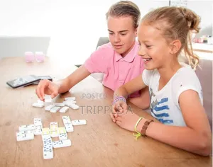 Double 6 Color Dot Dominoes Game Set