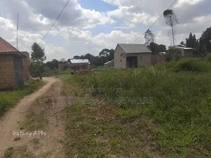 Plot of Land
