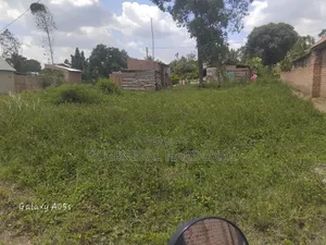 Plot of Land