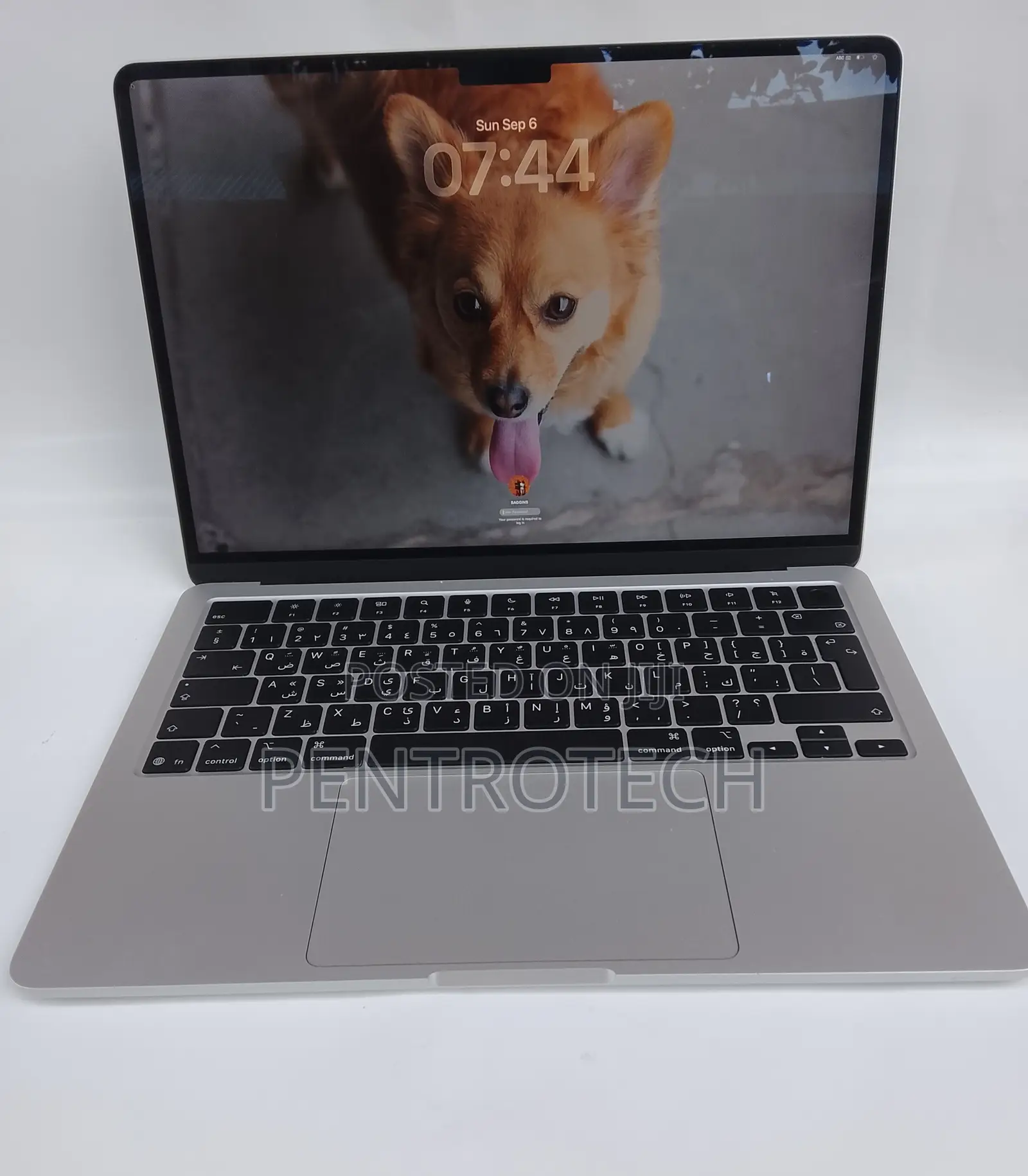 Laptop Apple MacBook Air 2025 M4 16GB Apple M4 SSD 256GB