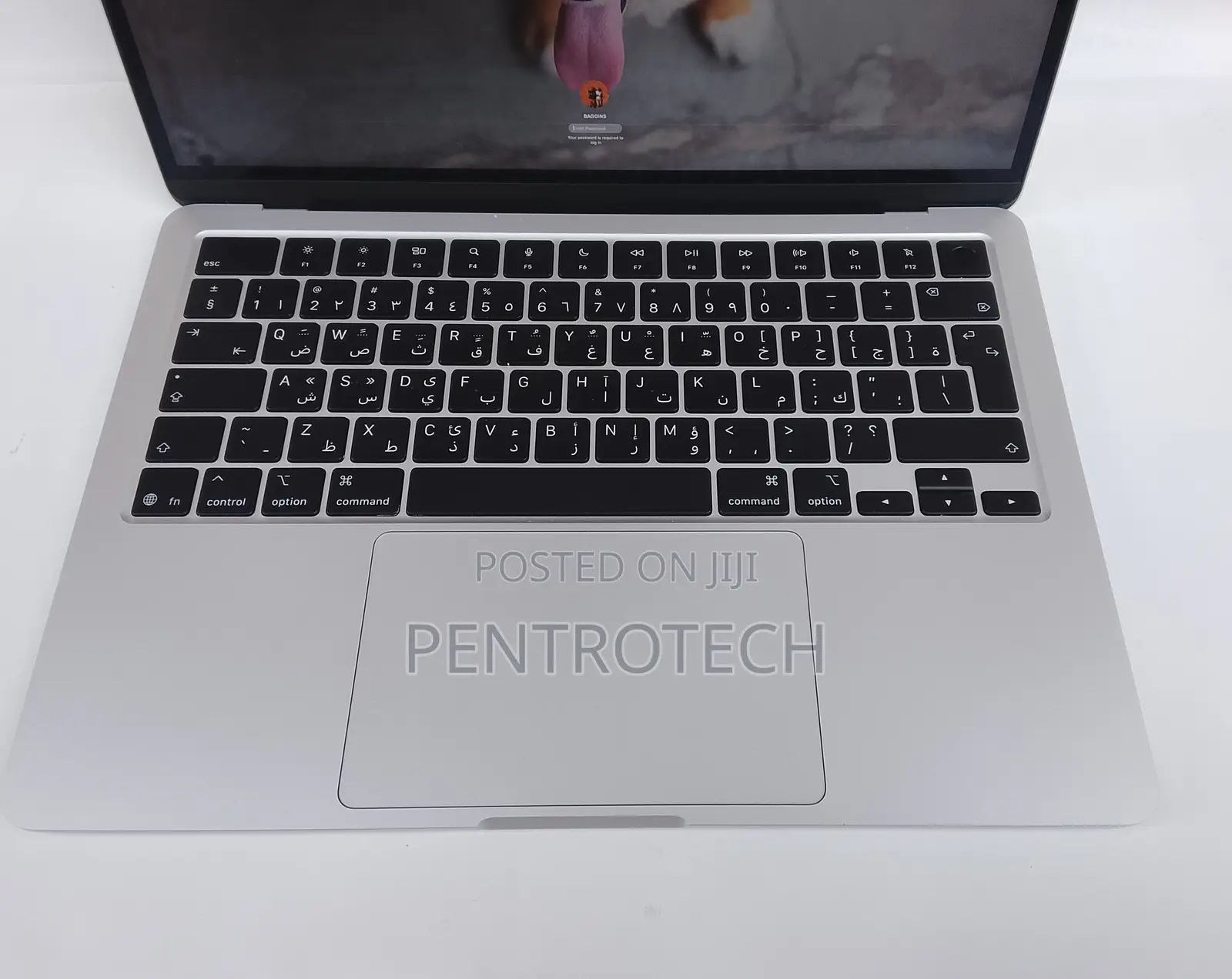 Laptop Apple MacBook Air 2025 M4 16GB Apple M4 SSD 256GB