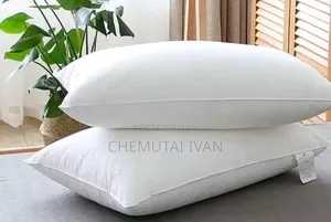 A Pair of Coztfibre Pillows