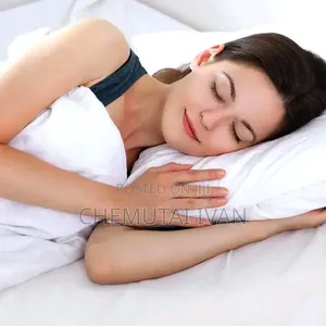 A Pair of Coztfibre Pillows