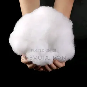 A Pair of Coztfibre Pillows