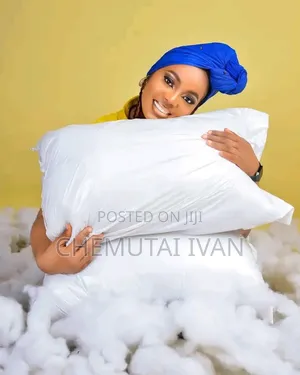 A Pair of Coztfibre Pillows