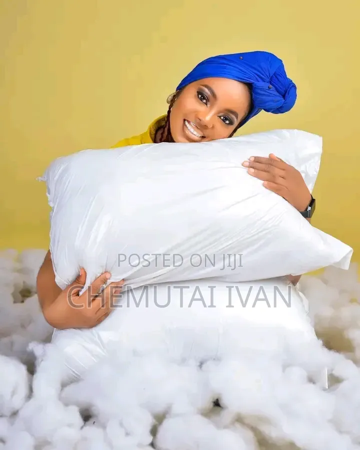 A Pair of Coztfibre Pillows