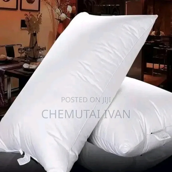 A Pair of Coztfibre Pillows