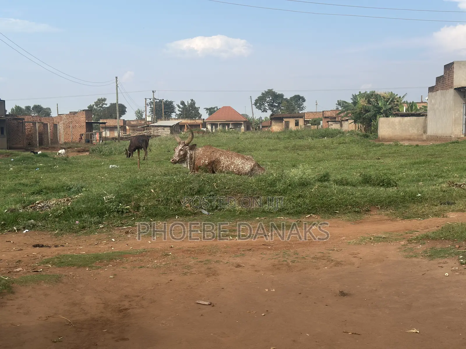 Land in Kayunga Kyelima Town App 1acre on the Mainroad,call
