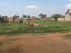Land in Kayunga Kyelima Town App 1acre on the Mainroad,call