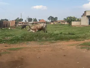 Land in Kayunga Kyelima Town App 1acre on the Mainroad,call