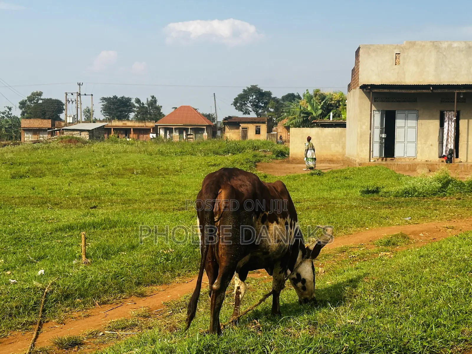 Land in Kayunga Kyelima Town App 1acre on the Mainroad,call