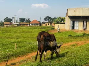 Land in Kayunga Kyelima Town App 1acre on the Mainroad,call