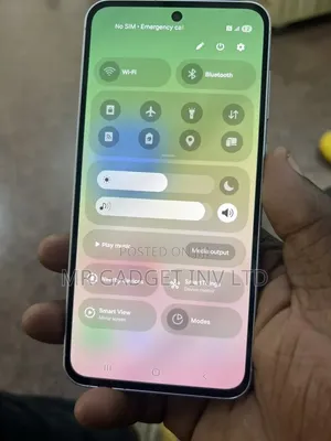 Samsung Galaxy A56 256 GB Silver