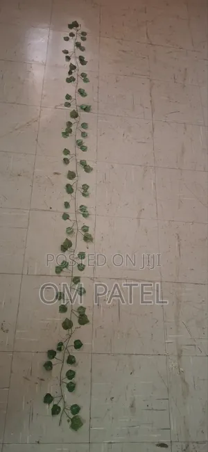 Green Leaves