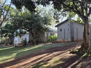Beautiful Cottages With Restaurant and Bar
