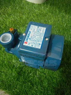 Water Pump Peddrollo Italy 0,5Hp 40 Meter Original Number 1/All Types