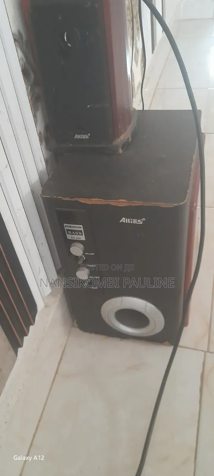 Allies Speaker