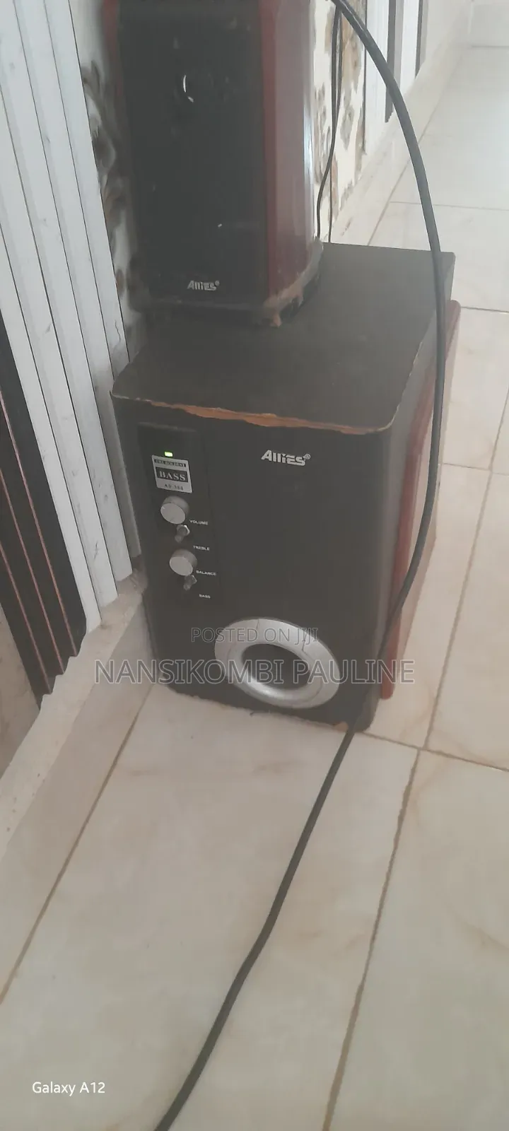Allies Speaker