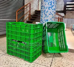 Plastic Mesh Crate / Vegatable Crate ~ Green