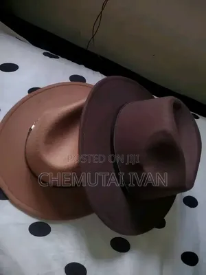 Stylish Fedoras