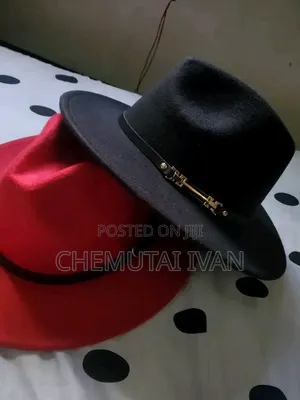 Stylish Fedoras