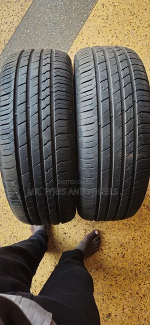 215/55r17 Saliun Atrezzo Elite Tyres