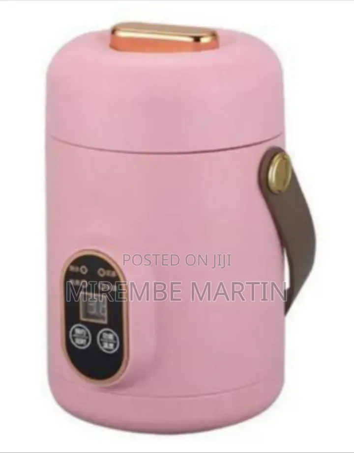 Portable Mini Electric Cooker