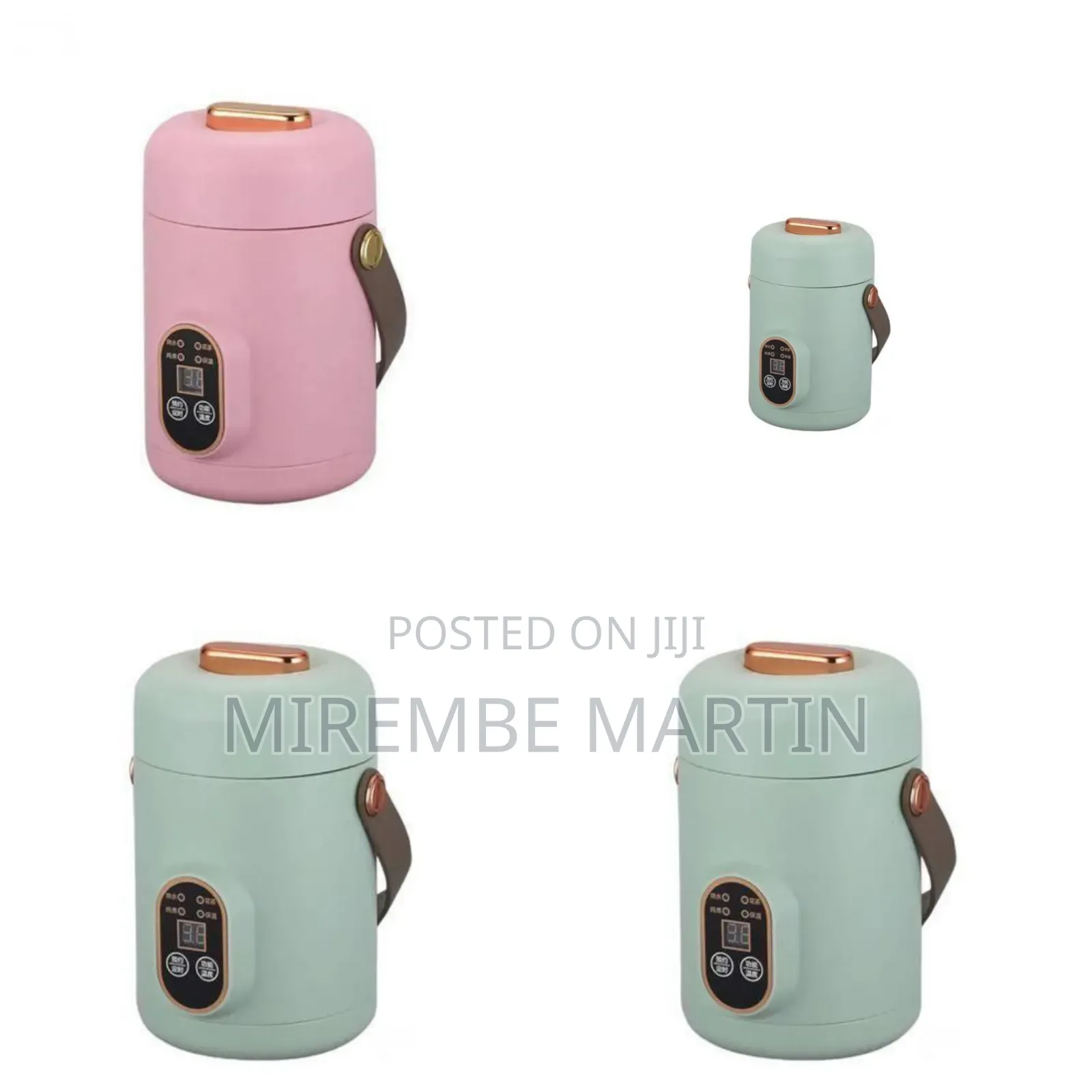 Portable Mini Electric Cooker