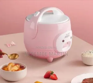 Elegant Compact Electric Rice Cooker With Steam Function