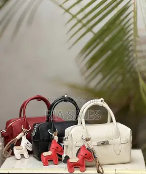 Women Handbags Available in All Colours